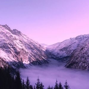 Meet your Posher, Esther